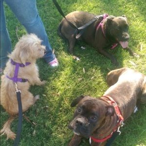 Meet your Posher, Jodi